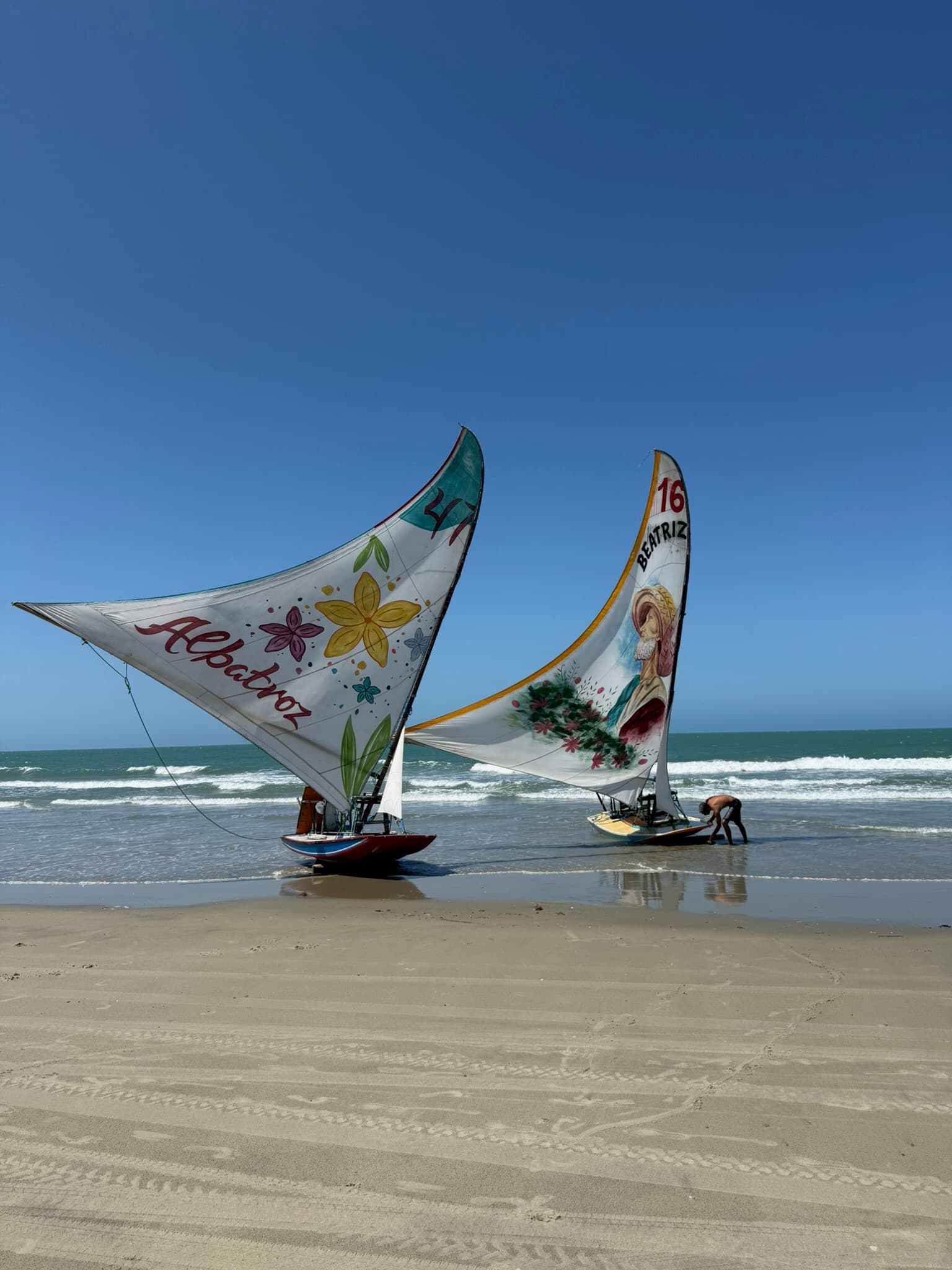 Excursions en bateau